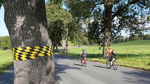 På Bygdøy er syklistene henvist til bilveien
